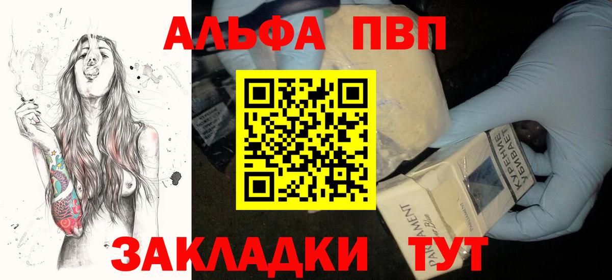 Alfa_PVP СК КРИС Тимашёвск