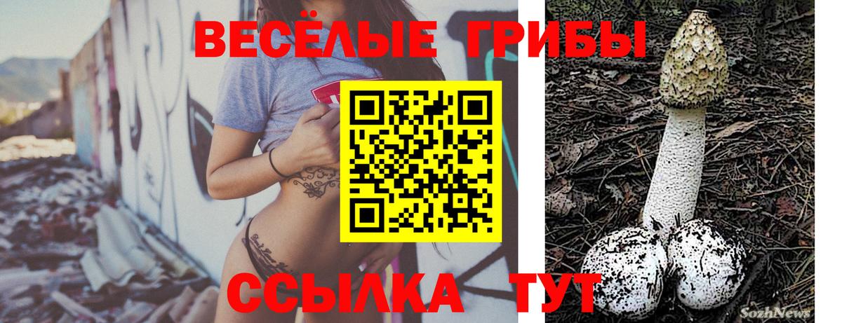 Галлюциногенные грибы ЛСД  Вход с VPN  Тимашёвск 
